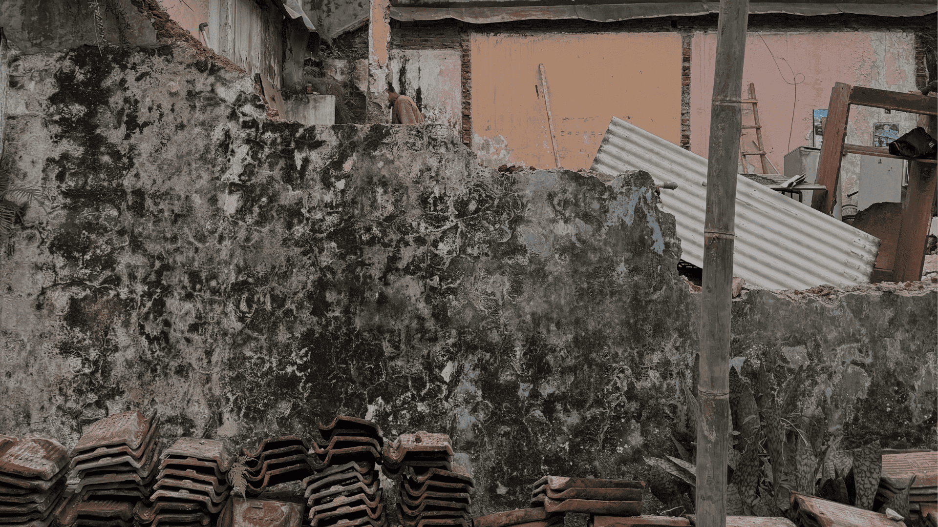 Studio Timoer creative work